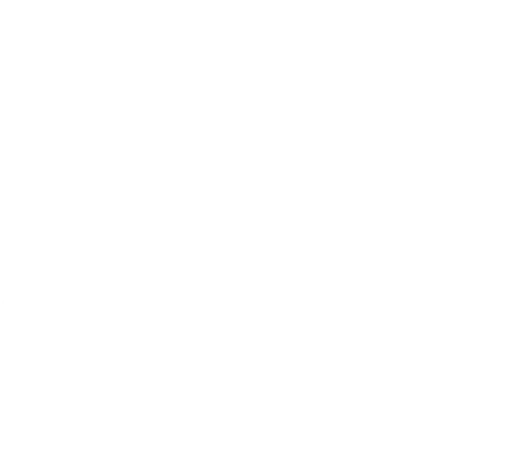 Wilkes-Barre Academy Logo White