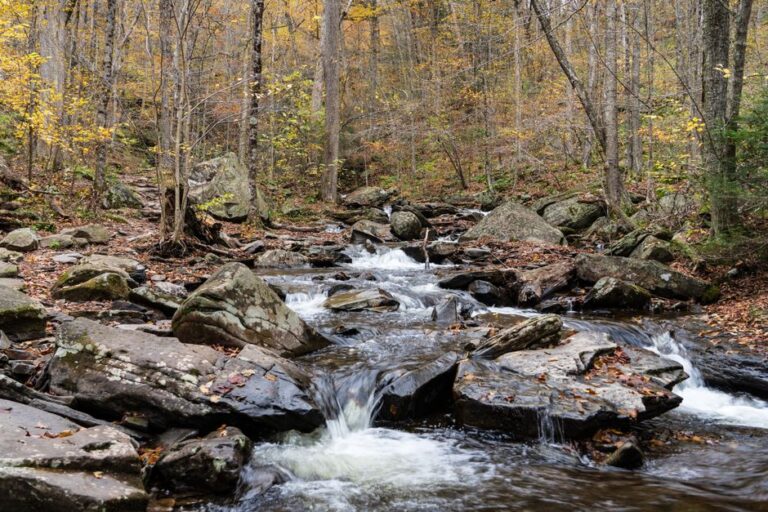 bear creek camp school pennsylvania